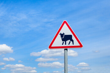 International traffic sign 'Cattle driving'. Blue sky with some clouds is on background