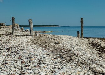 landscape with rocky sea shore and old wooden piles, Baltic sea shore, Saaremaa, Sorves peninsula, Estonia