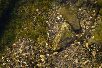Stones in the river with the summer sun. Background, texture.
