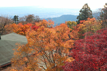 大山阿夫利神社