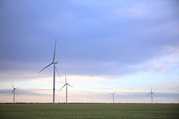 Beautiful view of field with wind turbines in evening. Alternative energy source