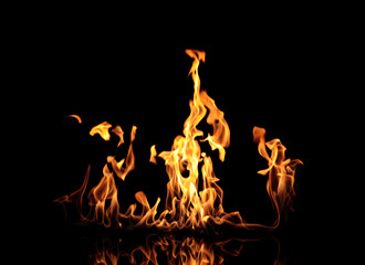 Beautiful bright fire flames on black background