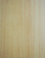 top view wooden wall material burr surface texture background Pattern brown color