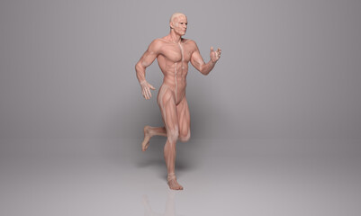 3D Rendering : a running male character with muscle tissues display