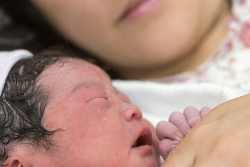 出産直後の新生児と母親