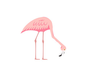 Fototapeta premium Colorful pink decorative flamingo isolated on white background. Vector Illustration