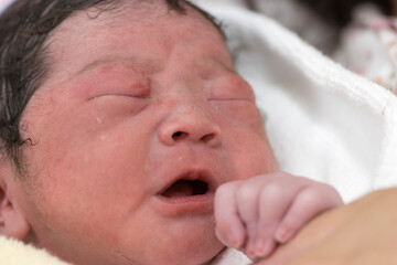 Obraz premium 泣き声をあげている出産直後の新生児