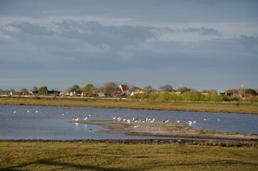 View form the coast of south Sweden, Skanor and Falsterbo in Skane.