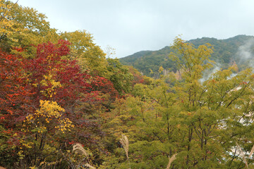 HOKKAIDO JAPAN OCTOBER 3 2019 Jigokudani Hell Valley steamy natural onsen hot spring Noboribetsu, Autumn season Hokkaido, Japan-2