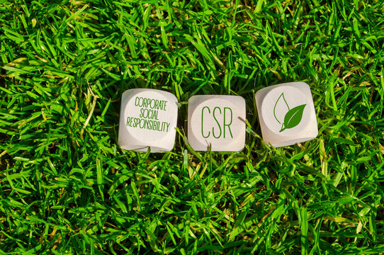 Cubes or dice with acronym CSR Corporate Social Responsibility in green grass