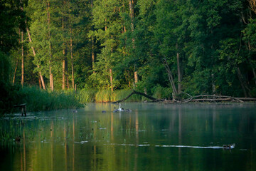 Flusslandschaft