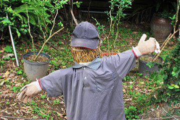 A scarecrow standing in a garden, wearing a purple T-shirts .