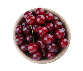 Sweet juicy cherries in bowl isolated on white, top view