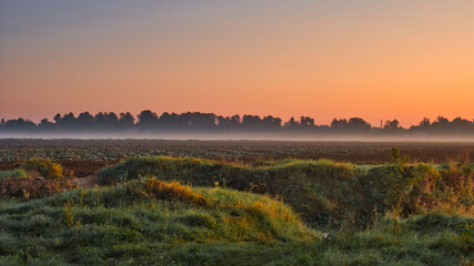 fog spreading early in the morning on an autumn field after harvest