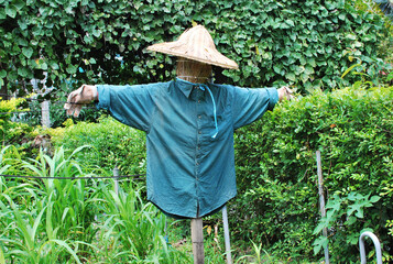 A scarecrow standing in a garden, wearing a blue shirts .