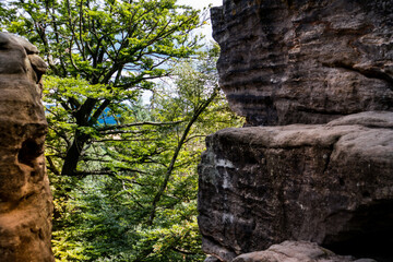 Sandsteinfelsen im Wald