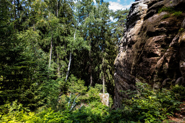 Felswand im Wald