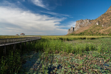 Bueng Bua Wood Boardwalk or Thung Sam Roi Yot National Park, Prachuap Khiri Khan Province, Thailand