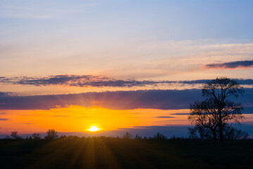 Fototapeta na wymiar dramatic sunset over a forest silhouette