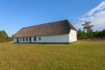 Fototapeta na wymiar white painted traditional rural house with natural reed roof but fake windows and doors for army training in the nature park Vesterhavet (Denmark) surrounded by a meadow on a sunny summer afternoon