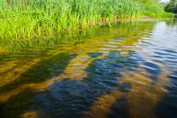 closeup quiet summer small river, outdoor rural background