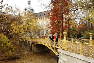 Autumn in the park of Budapest.