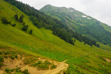 Fototapeta na wymiar beautiful green mountain valley scene
