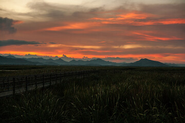 Bueng Bua Wood Boardwalk or Thung Sam Roi Yot National Park, Prachuap Khiri Khan Province, Thailand