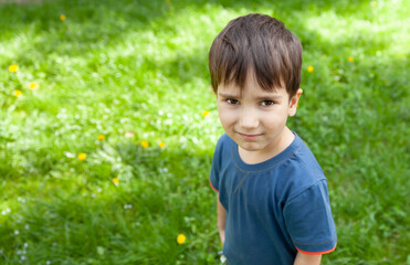 little boy stands among the green grass