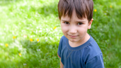 little boy stands among the green grass