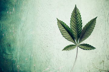 Marijuana /  Cannabis leaf.  Natural medicine concept. 