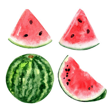 Watermelon. Set of pieces and halves on a white background. Watercolor.
