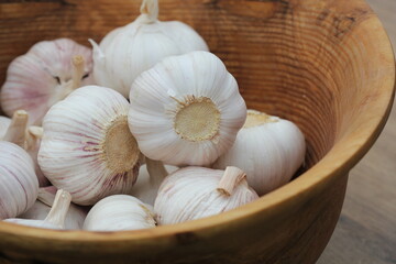 Garlic Cloves and Bulb in vintage wooden bowl.