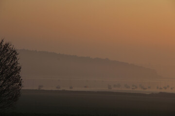 Orwell River at dawn