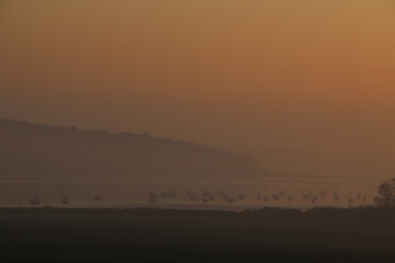 Obraz premium Orwell River at dawn