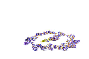 Lavender flowers isolated on white background. Close up. Space for text