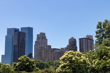 Fototapeta premium Lincoln Square New York Skyline seen from Central Park with Green Trees