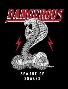 Vector snake illustration with slogans. For t-shirt prints, posters and other uses.
