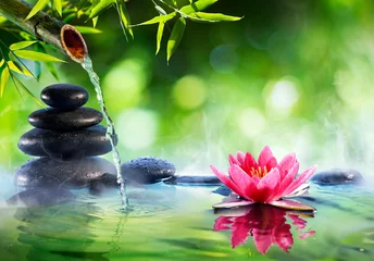 Foto auf Acrylglas Badezimmer Spa-Steine und Seerose mit Brunnen im Zen-Garten - Asiatische Kultur