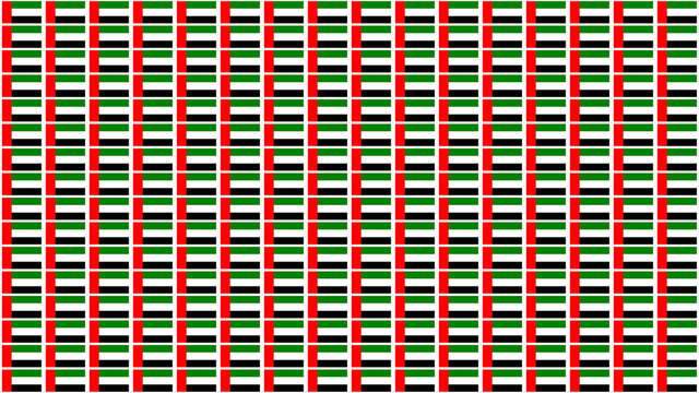 United Arab Emirates Flag Pattern