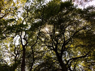 FLASH=Off;MOMENT_LENS=NO LENS;HDR+_MODE=HDR++