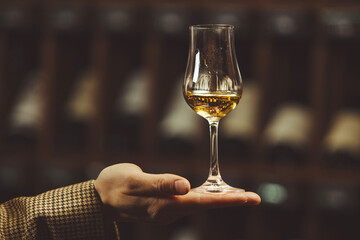 Close-up photo, snifter of whiskey in sommelier hand on cellar background.