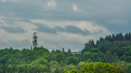 Wald Blumen Feld Landschaft Erzgebirge Städte Dörfer