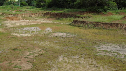stream in the forest