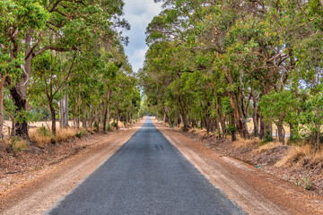 Australian country road in WA Perth