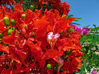 Relax at the hotel in Egypt. Red sea .
