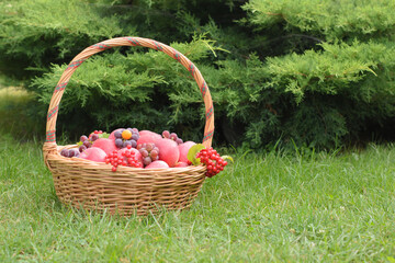 Fototapeta na wymiar Apples with grapes in a basket