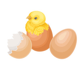 Cracked Eggshell with Yellow Chick as Hatching Process Vector Illustration