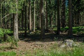 Obraz premium Landschaft Natur 
