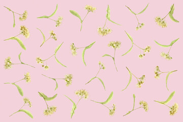 Carpet of lime blossoms wallpaper flat layed on a pink background.